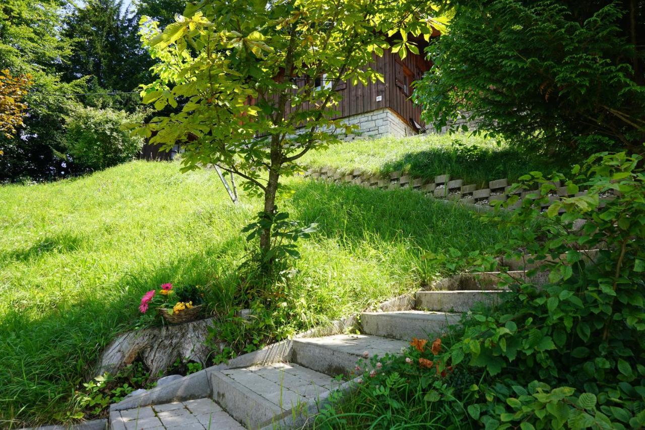 Chalet Katrin Sankt Koloman Luaran gambar